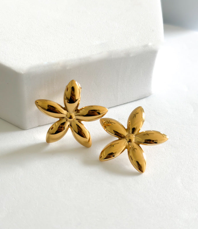 Island Earrings