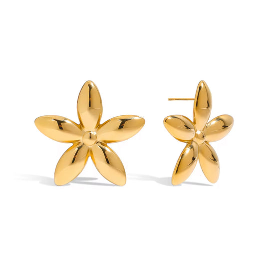 Island Earrings